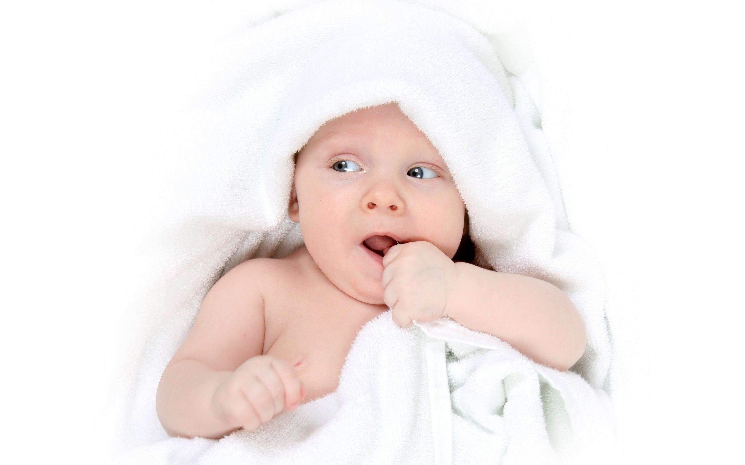 泰州供卵公司机构试管婴儿卵泡30多个